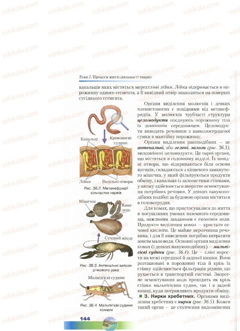 Страница 144 | Підручник Біологія 7 клас Д.А. Шабанов, М.О. Кравченко 2015