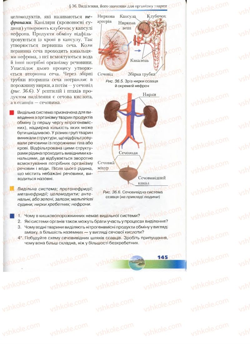 Страница 145 | Підручник Біологія 7 клас Д.А. Шабанов, М.О. Кравченко 2015