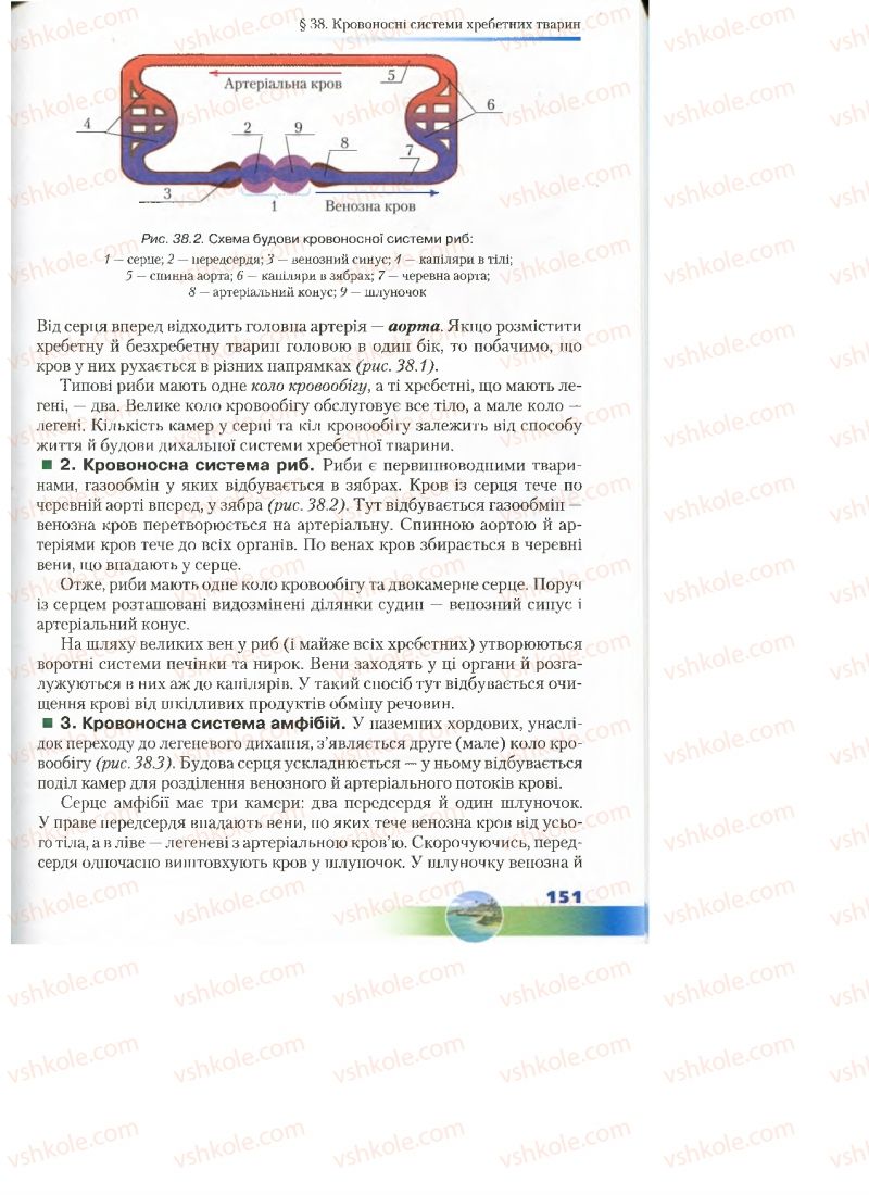 Страница 151 | Підручник Біологія 7 клас Д.А. Шабанов, М.О. Кравченко 2015