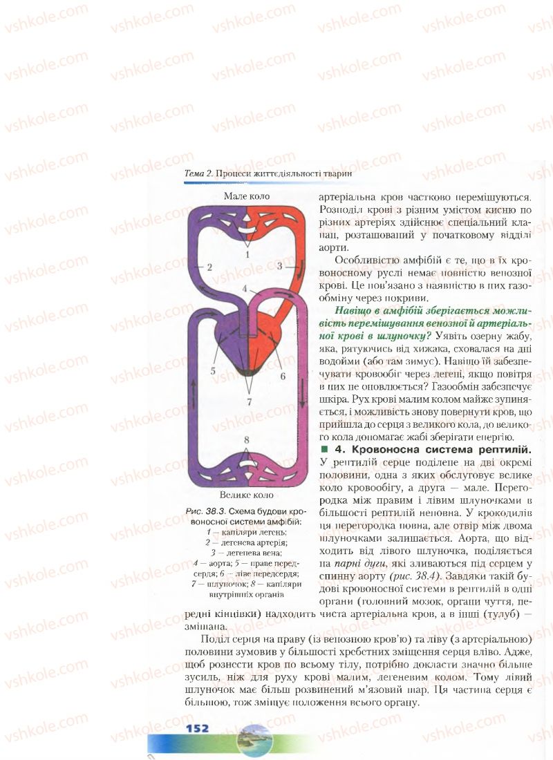 Страница 152 | Підручник Біологія 7 клас Д.А. Шабанов, М.О. Кравченко 2015
