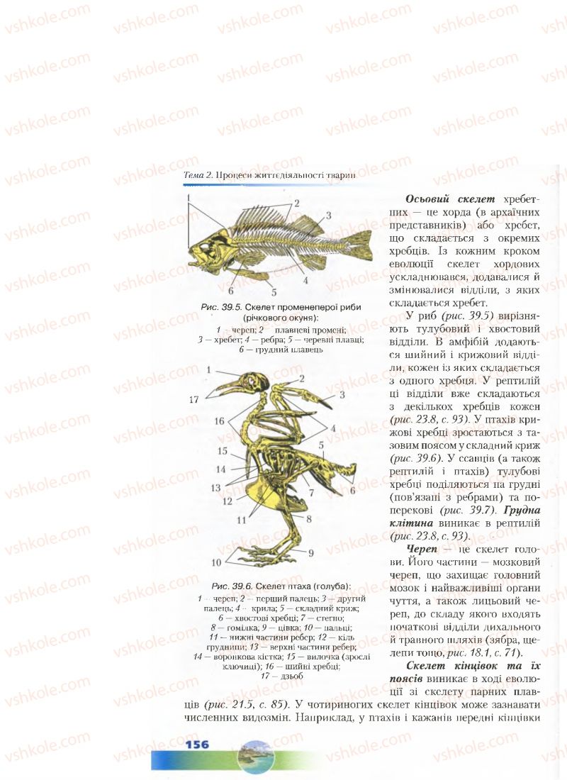 Страница 156 | Підручник Біологія 7 клас Д.А. Шабанов, М.О. Кравченко 2015