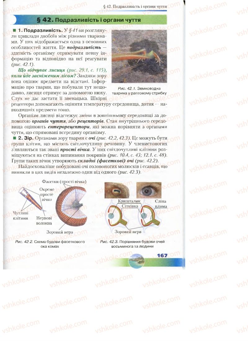 Страница 167 | Підручник Біологія 7 клас Д.А. Шабанов, М.О. Кравченко 2015