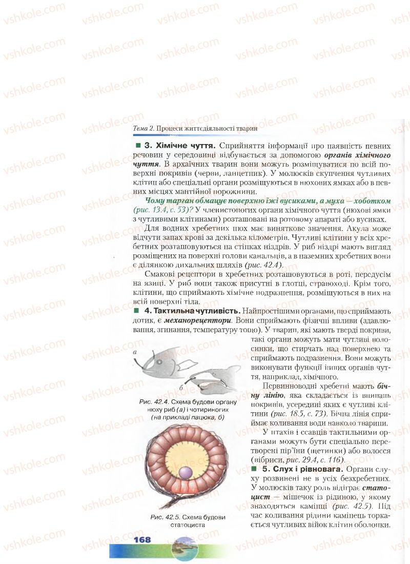 Страница 168 | Підручник Біологія 7 клас Д.А. Шабанов, М.О. Кравченко 2015