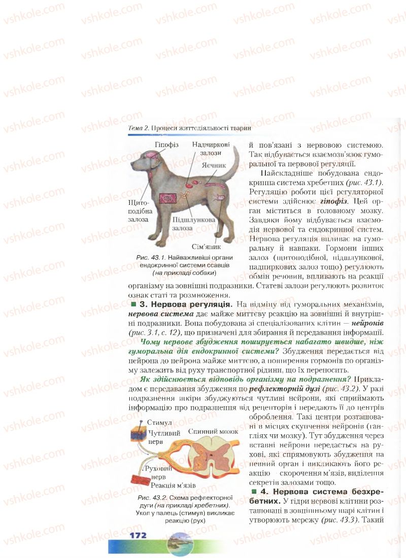 Страница 172 | Підручник Біологія 7 клас Д.А. Шабанов, М.О. Кравченко 2015
