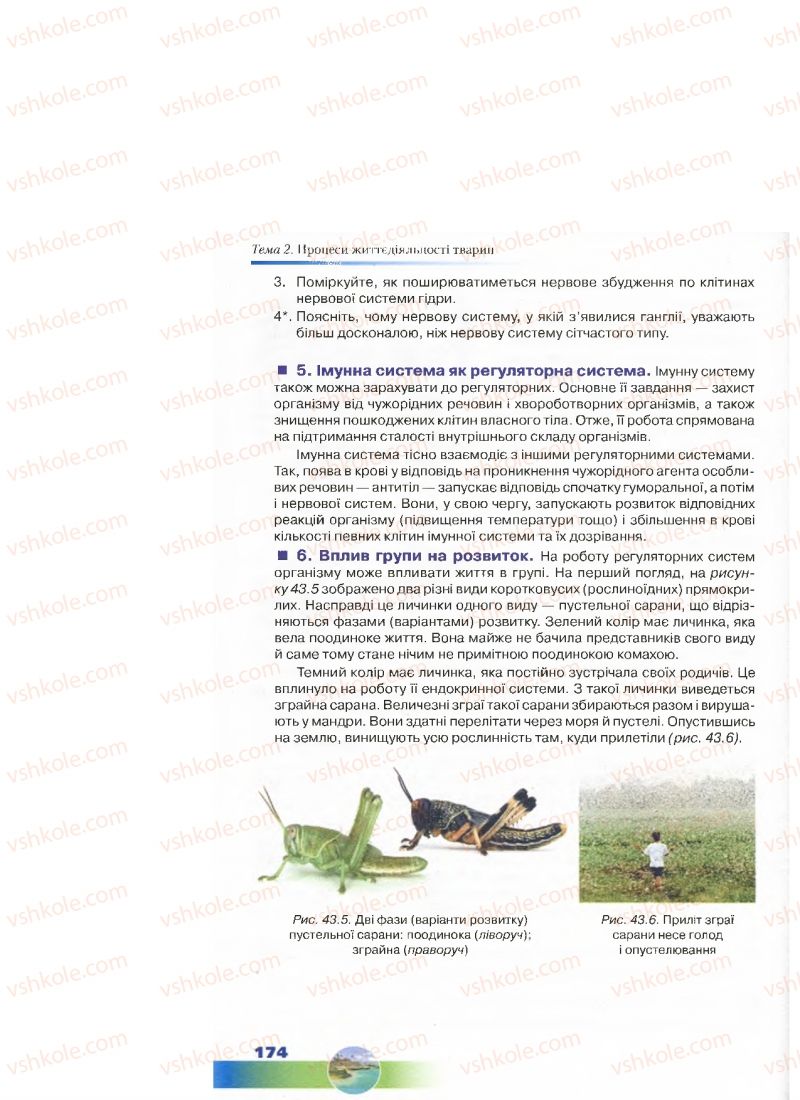 Страница 174 | Підручник Біологія 7 клас Д.А. Шабанов, М.О. Кравченко 2015