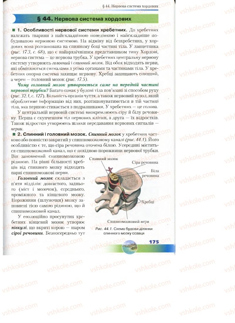 Страница 175 | Підручник Біологія 7 клас Д.А. Шабанов, М.О. Кравченко 2015