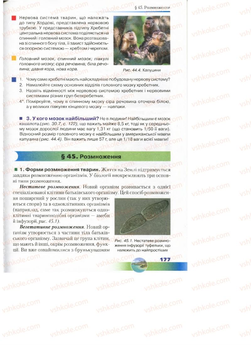 Страница 177 | Підручник Біологія 7 клас Д.А. Шабанов, М.О. Кравченко 2015