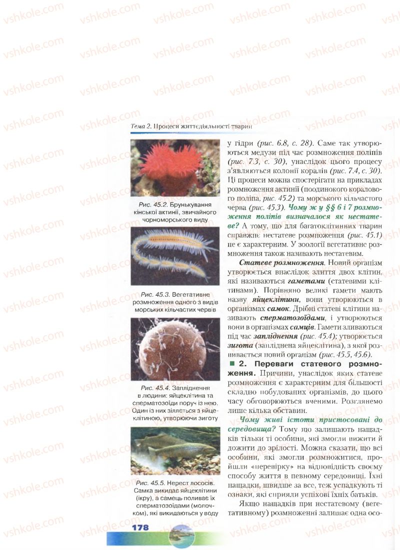 Страница 178 | Підручник Біологія 7 клас Д.А. Шабанов, М.О. Кравченко 2015