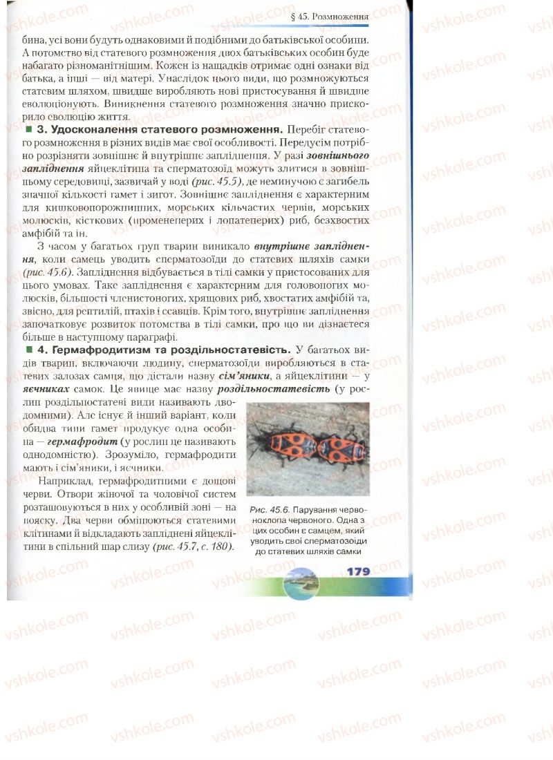 Страница 179 | Підручник Біологія 7 клас Д.А. Шабанов, М.О. Кравченко 2015