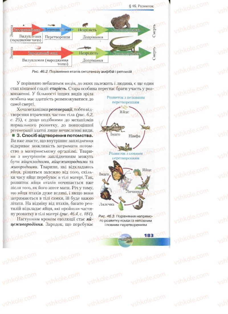 Страница 183 | Підручник Біологія 7 клас Д.А. Шабанов, М.О. Кравченко 2015