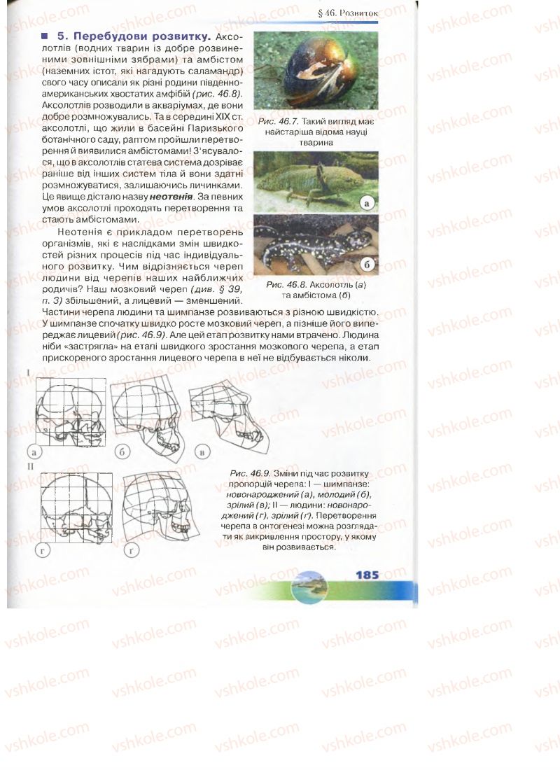 Страница 185 | Підручник Біологія 7 клас Д.А. Шабанов, М.О. Кравченко 2015