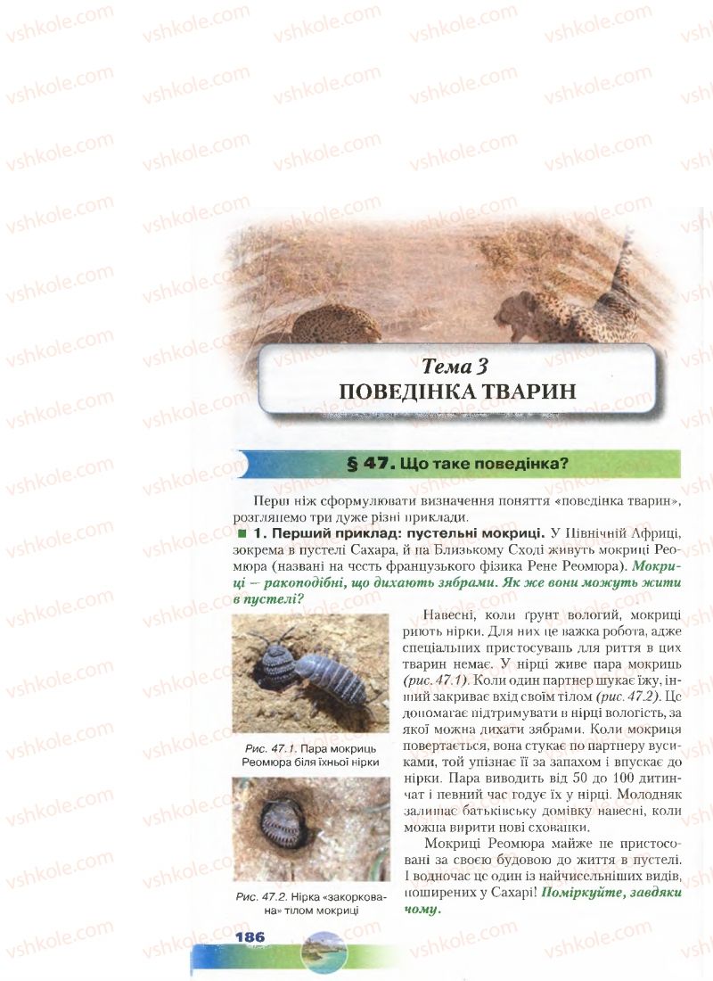 Страница 186 | Підручник Біологія 7 клас Д.А. Шабанов, М.О. Кравченко 2015