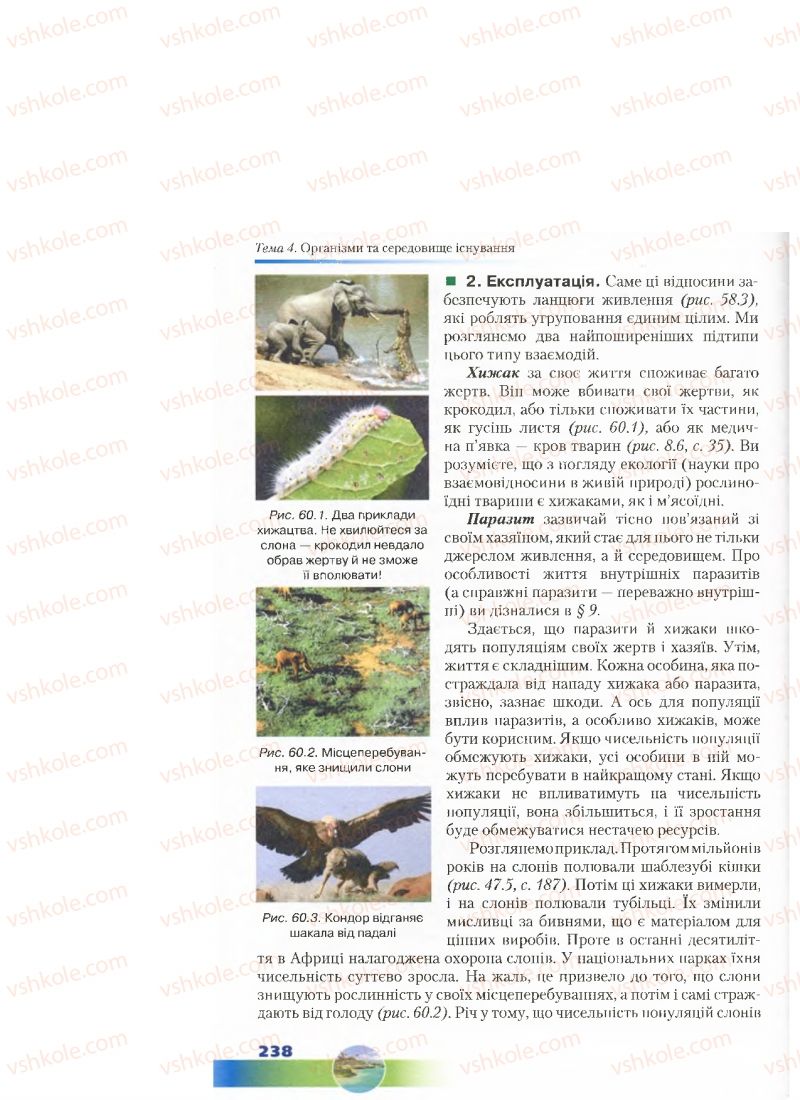 Страница 238 | Підручник Біологія 7 клас Д.А. Шабанов, М.О. Кравченко 2015