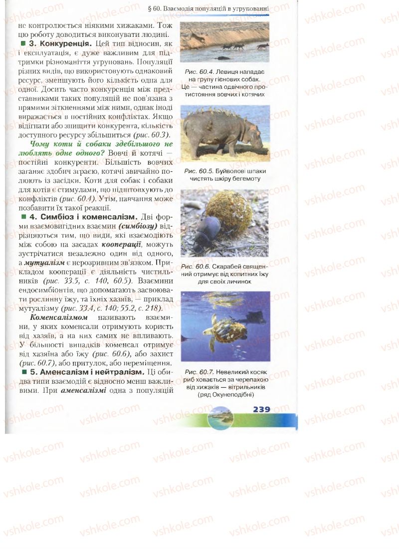 Страница 239 | Підручник Біологія 7 клас Д.А. Шабанов, М.О. Кравченко 2015