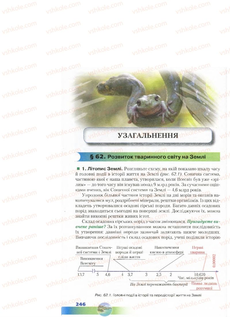 Страница 246 | Підручник Біологія 7 клас Д.А. Шабанов, М.О. Кравченко 2015