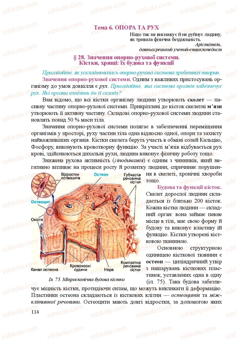 Страница 114 | Підручник Біологія 8 клас Н.Й. Міщук, Г.Я. Жирська, А.В. Степанюк, Л.С. Барна 2016