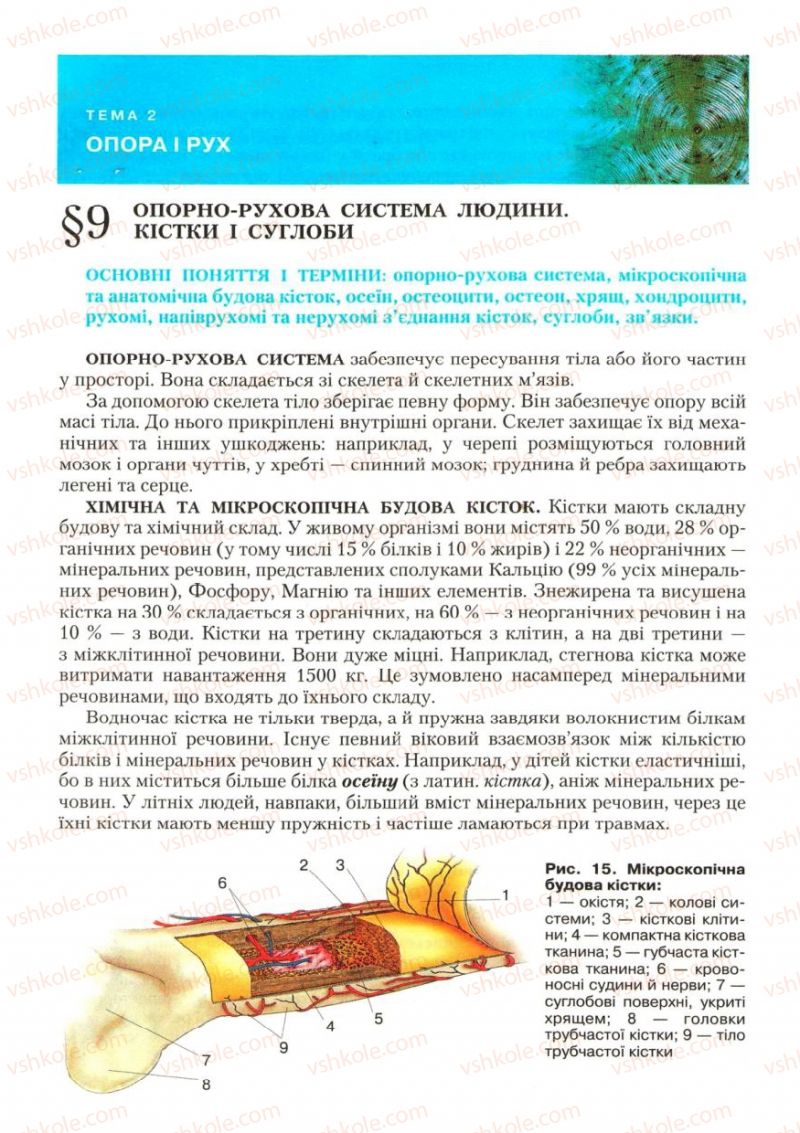 Страница 28 | Підручник Біологія 9 клас С.В. Страшко, Л.Г. Горяна, В.Г. Білик, С.А. Ігнатенко 2009