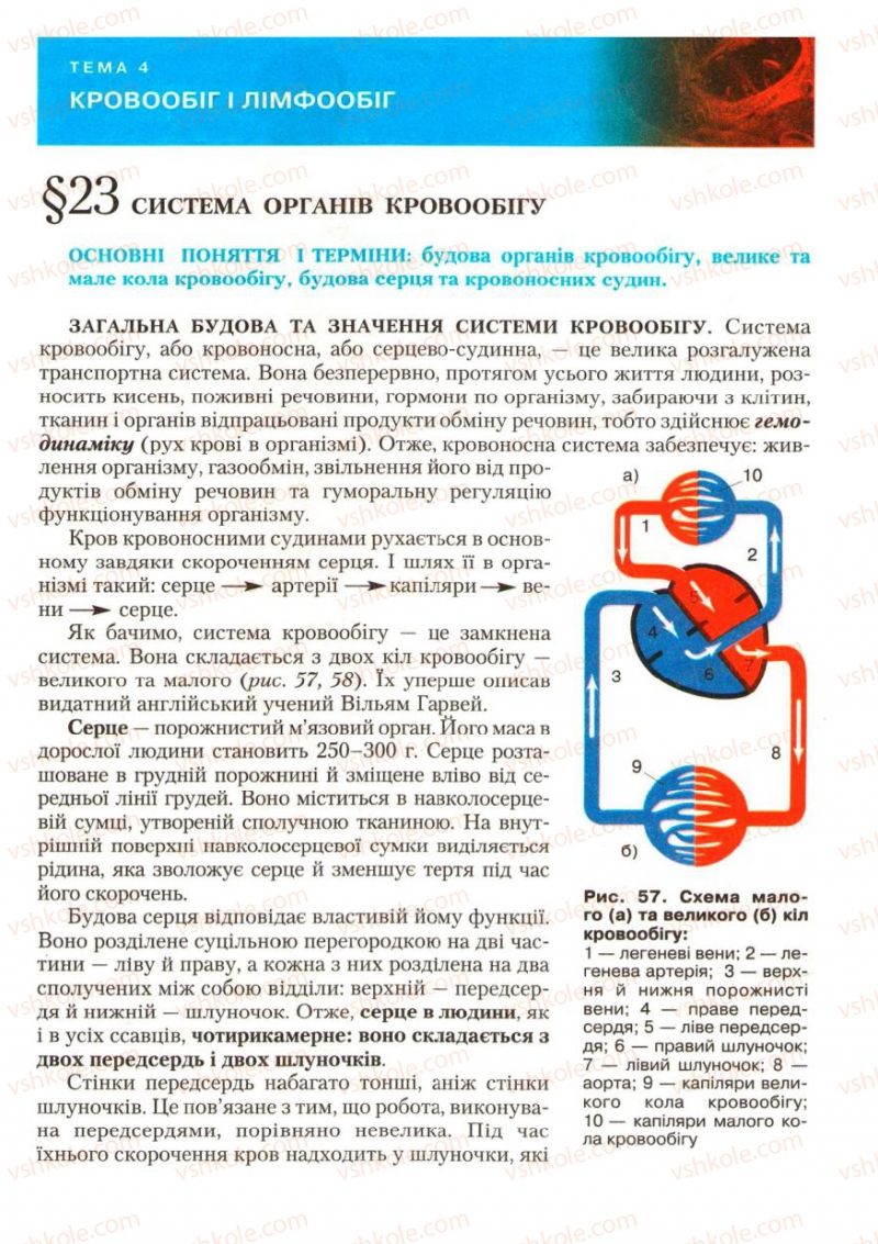 Страница 67 | Підручник Біологія 9 клас С.В. Страшко, Л.Г. Горяна, В.Г. Білик, С.А. Ігнатенко 2009