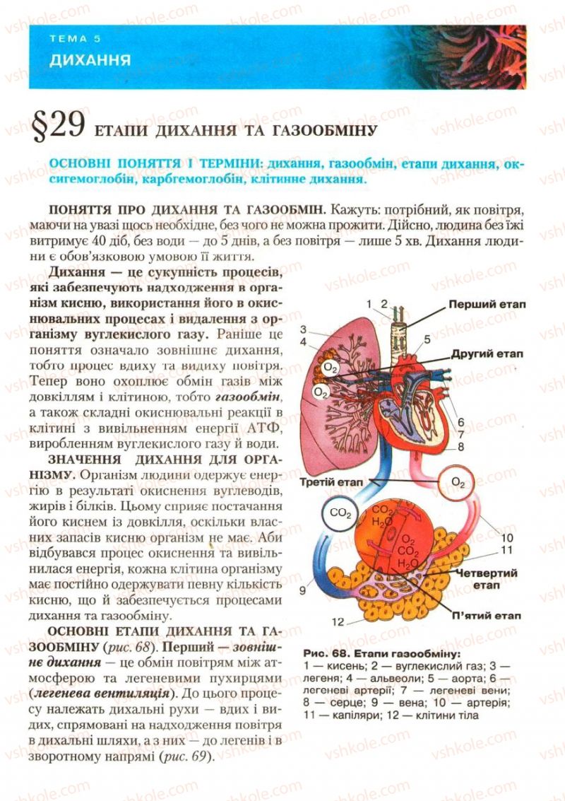 Страница 83 | Підручник Біологія 9 клас С.В. Страшко, Л.Г. Горяна, В.Г. Білик, С.А. Ігнатенко 2009