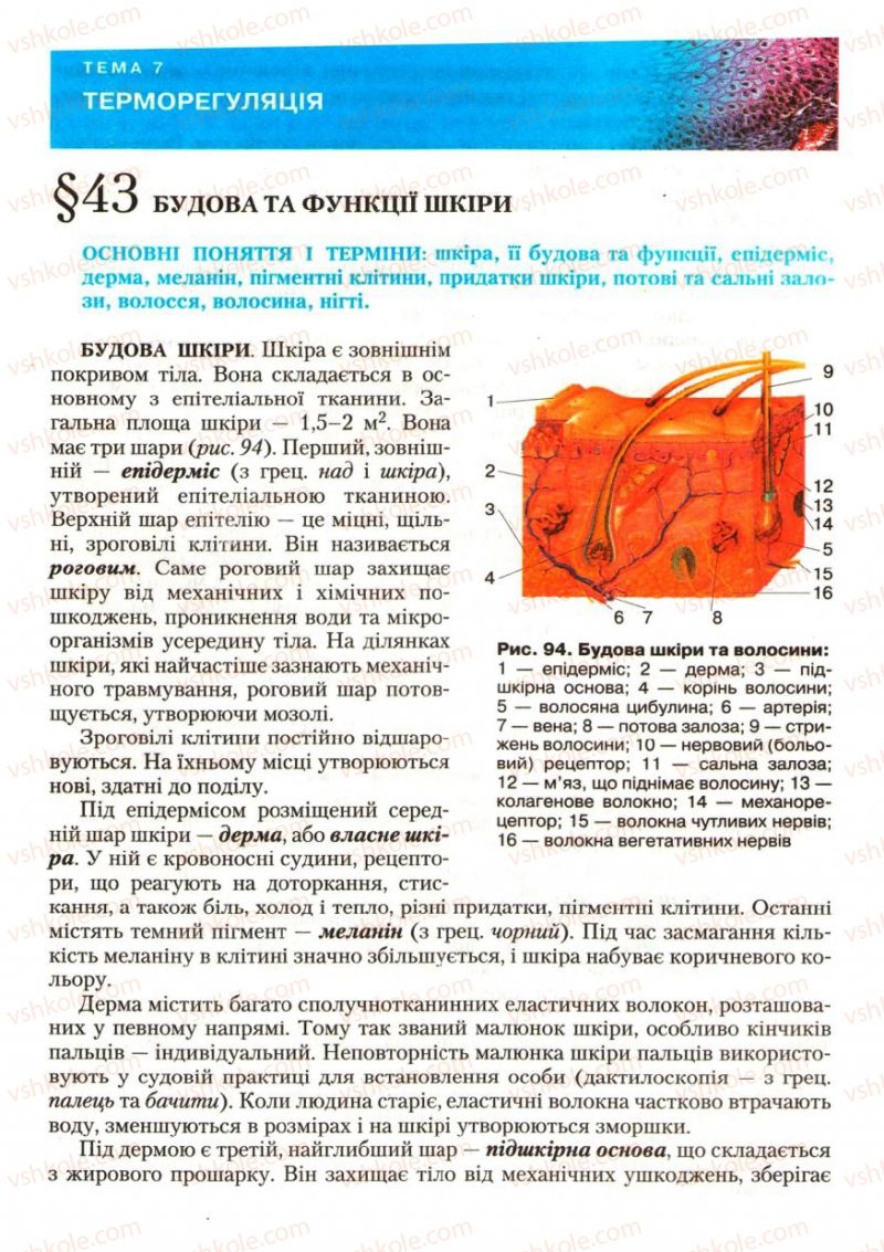 Страница 123 | Підручник Біологія 9 клас С.В. Страшко, Л.Г. Горяна, В.Г. Білик, С.А. Ігнатенко 2009