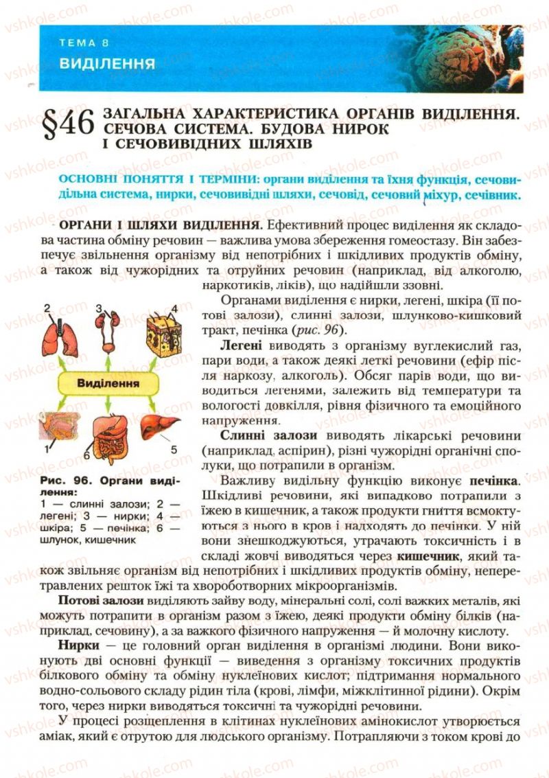 Страница 132 | Підручник Біологія 9 клас С.В. Страшко, Л.Г. Горяна, В.Г. Білик, С.А. Ігнатенко 2009