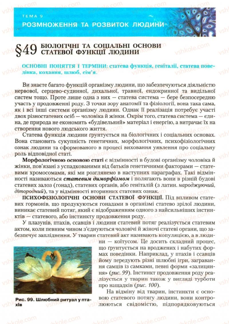 Страница 138 | Підручник Біологія 9 клас С.В. Страшко, Л.Г. Горяна, В.Г. Білик, С.А. Ігнатенко 2009