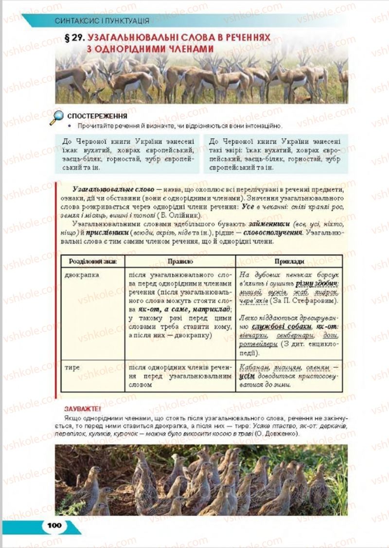 Страница 100 | Підручник Українська мова 8 клас О.М. Авраменко, Т.В. Борисюк, О.М. Почтаренко 2016