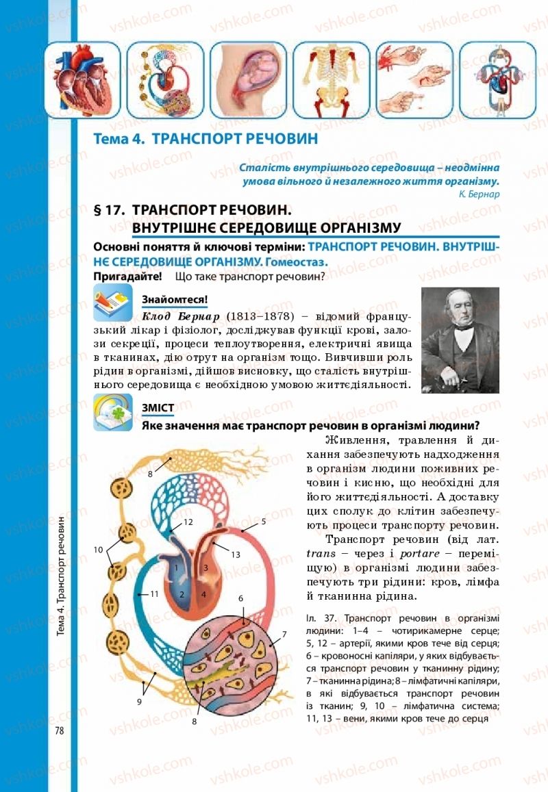 Страница 78 | Підручник Біологія 8 клас В.І. Соболь 2016