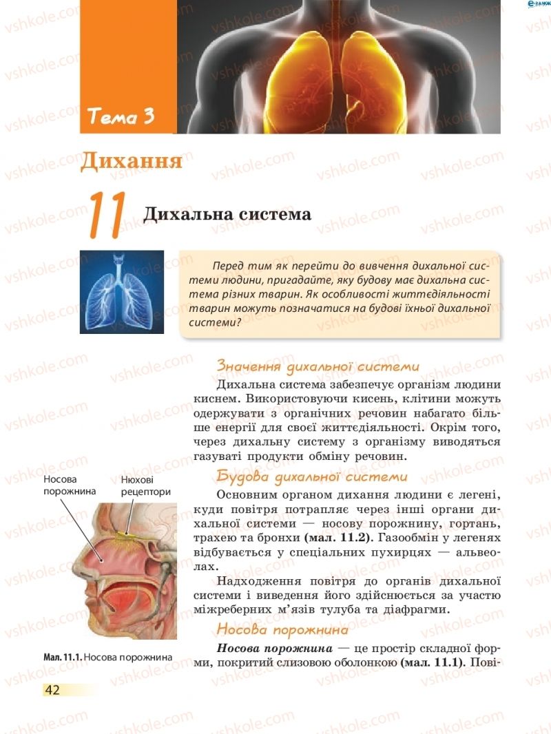 Страница 42 | Підручник Біологія 8 клас К.М. Задорожний 2016