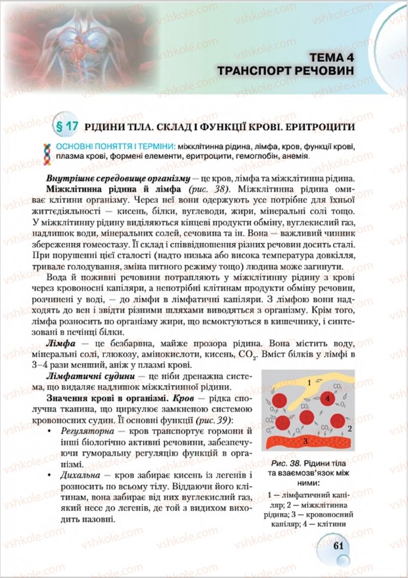 Страница 61 | Підручник Біологія 8 клас С.В. Страшко, Л.Г. Горяна, В.Г. Білик 2016