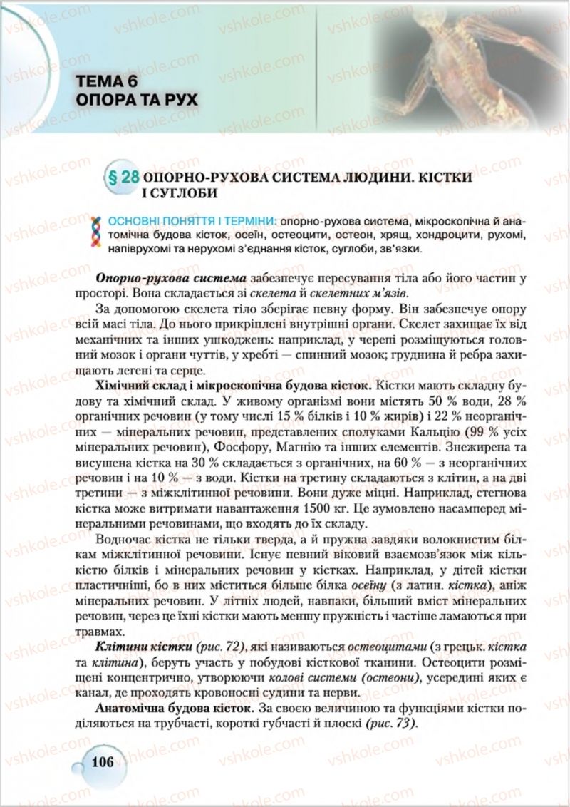 Страница 106 | Підручник Біологія 8 клас С.В. Страшко, Л.Г. Горяна, В.Г. Білик 2016