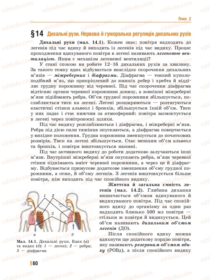 Страница 60 | Підручник Біологія 8 клас Т.І. Базанова, Ю.В. Павіченко, Ю.О. Кузнецова 2016