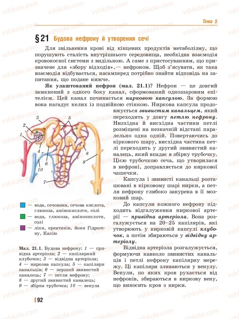 Страница 92 | Підручник Біологія 8 клас Т.І. Базанова, Ю.В. Павіченко, Ю.О. Кузнецова 2016