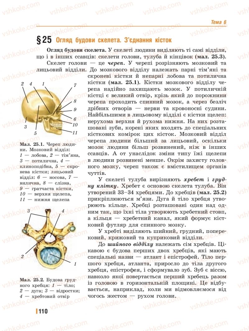 Страница 110 | Підручник Біологія 8 клас Т.І. Базанова, Ю.В. Павіченко, Ю.О. Кузнецова 2016