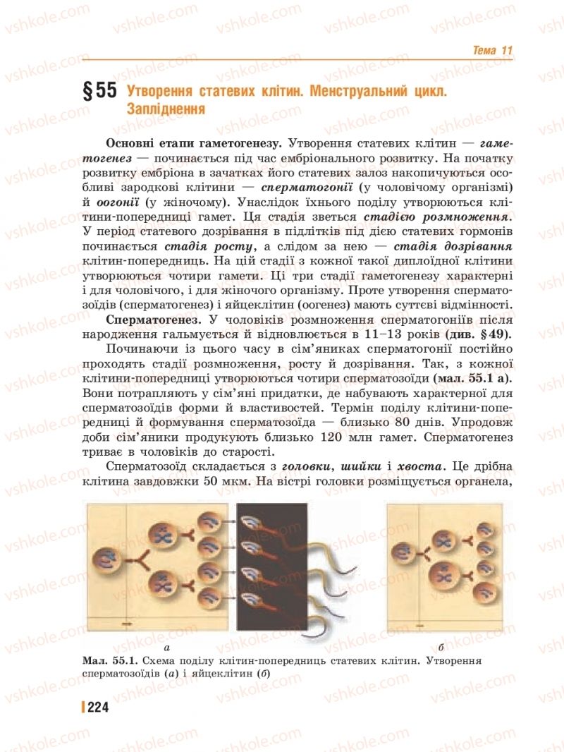 Страница 224 | Підручник Біологія 8 клас Т.І. Базанова, Ю.В. Павіченко, Ю.О. Кузнецова 2016