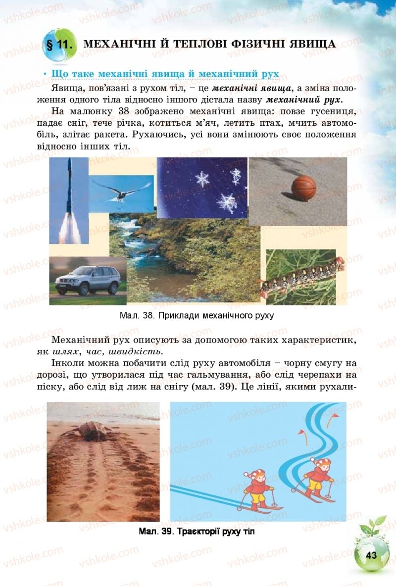 Страница 43 | Підручник Природознавство 5 клас Т.В. Коршевнюк, І.В. Баштовий 2018