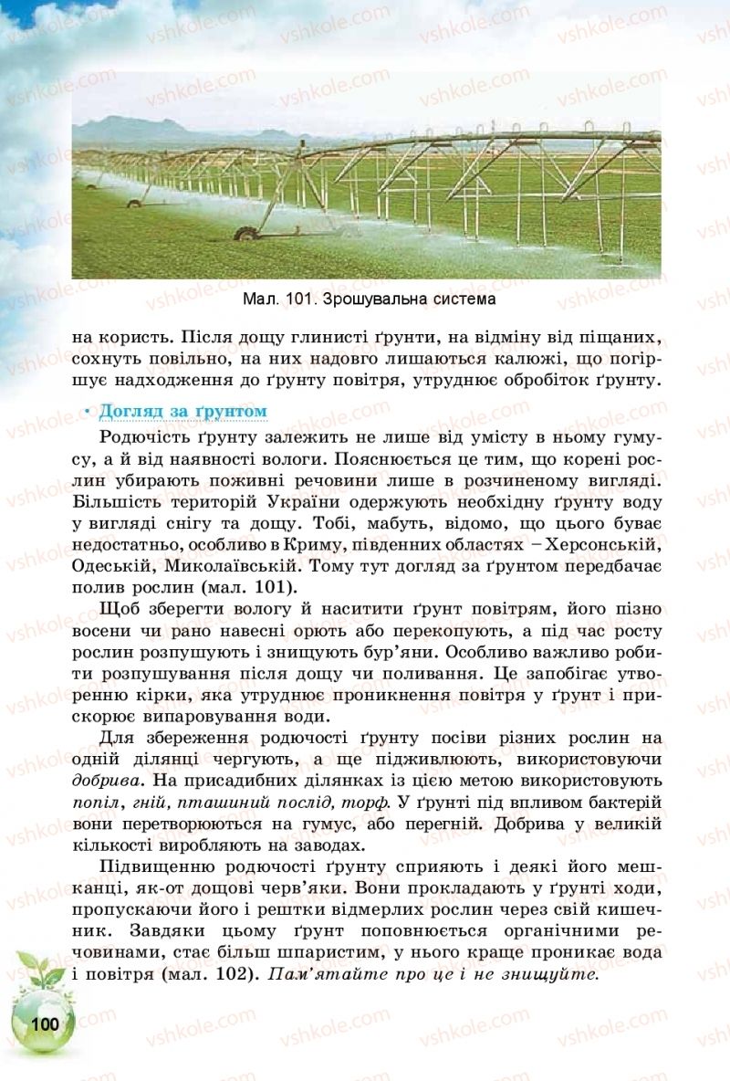 Страница 100 | Підручник Природознавство 5 клас Т.В. Коршевнюк, І.В. Баштовий 2018