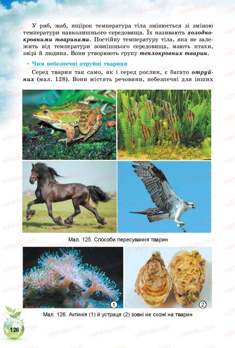 Страница 126 | Підручник Природознавство 5 клас Т.В. Коршевнюк, І.В. Баштовий 2018