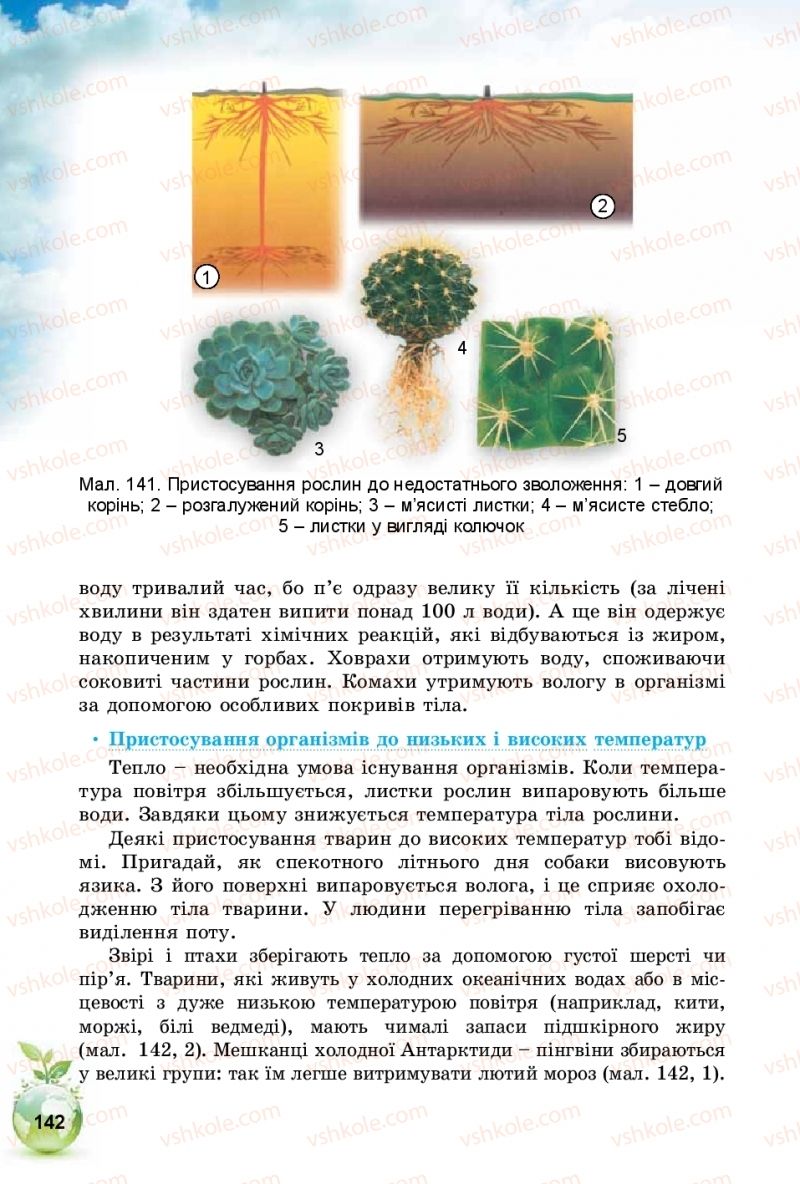 Страница 142 | Підручник Природознавство 5 клас Т.В. Коршевнюк, І.В. Баштовий 2018