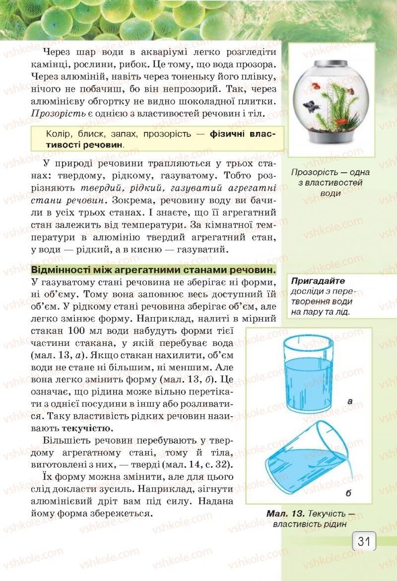 Страница 31 | Підручник Природознавство 5 клас О.Г. Ярошенко, В.М. Бойко 2018