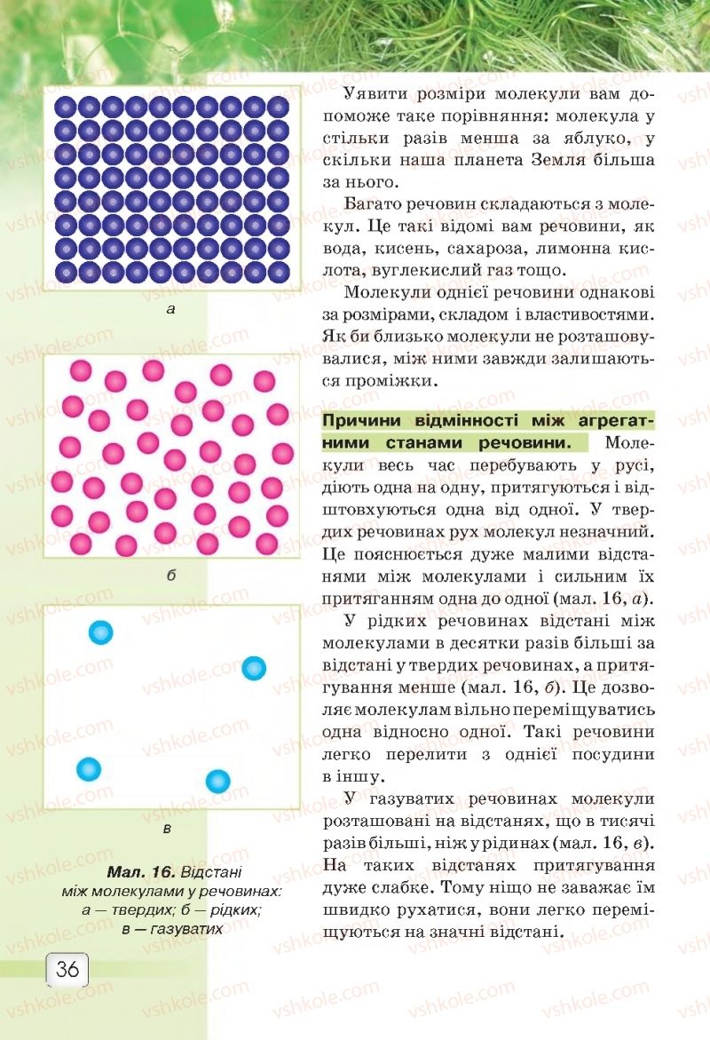 Страница 36 | Підручник Природознавство 5 клас О.Г. Ярошенко, В.М. Бойко 2018