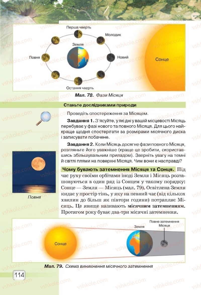 Страница 114 | Підручник Природознавство 5 клас О.Г. Ярошенко, В.М. Бойко 2018