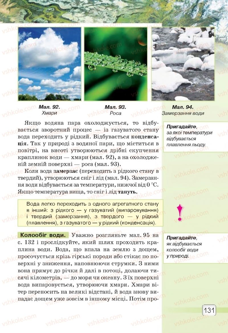 Страница 131 | Підручник Природознавство 5 клас О.Г. Ярошенко, В.М. Бойко 2018