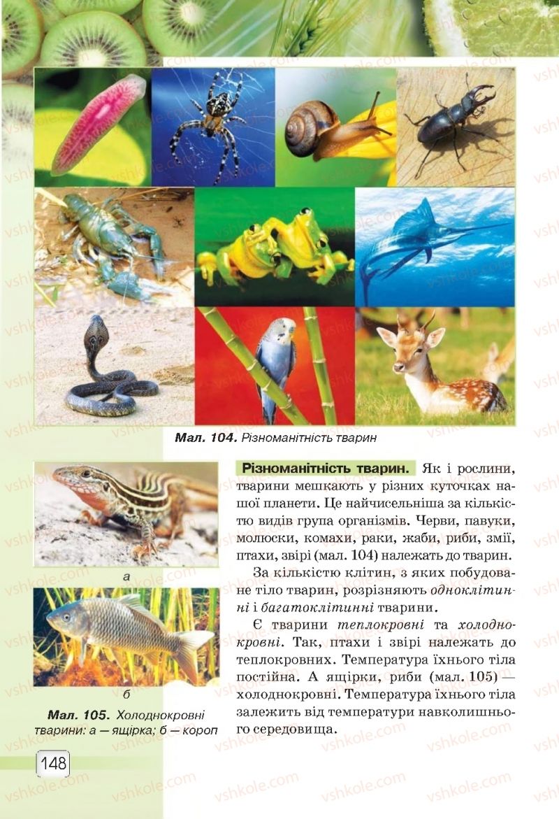 Страница 148 | Підручник Природознавство 5 клас О.Г. Ярошенко, В.М. Бойко 2018