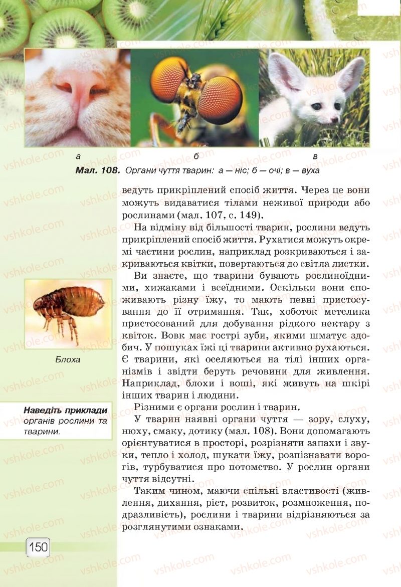 Страница 150 | Підручник Природознавство 5 клас О.Г. Ярошенко, В.М. Бойко 2018
