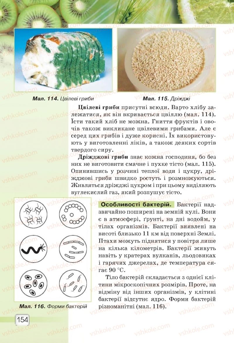 Страница 154 | Підручник Природознавство 5 клас О.Г. Ярошенко, В.М. Бойко 2018