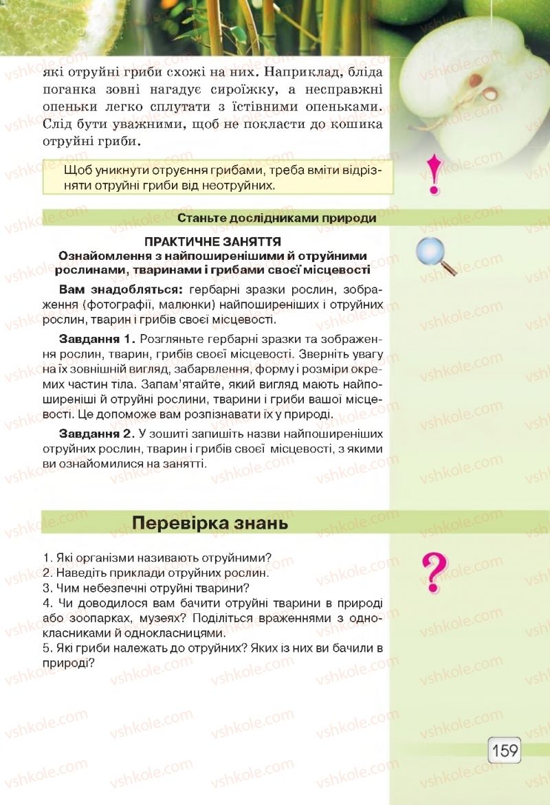 Страница 159 | Підручник Природознавство 5 клас О.Г. Ярошенко, В.М. Бойко 2018