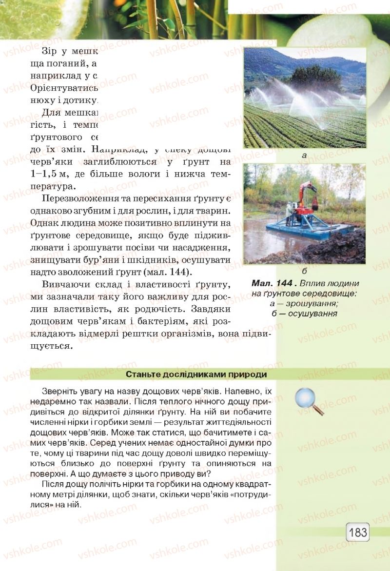 Страница 183 | Підручник Природознавство 5 клас О.Г. Ярошенко, В.М. Бойко 2018