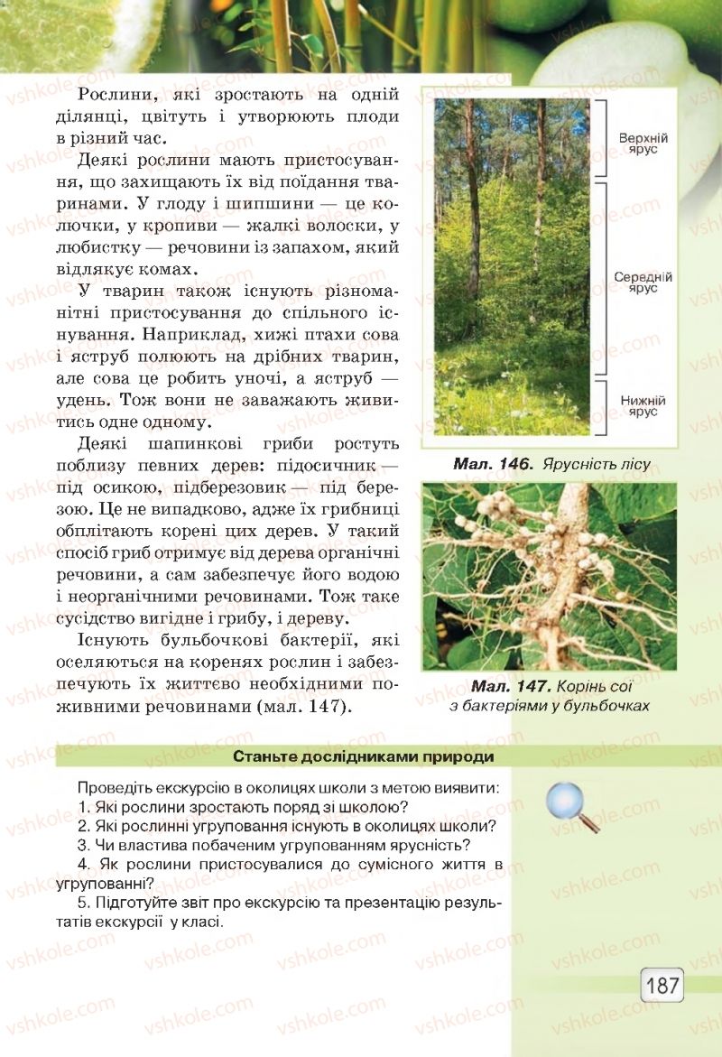Страница 187 | Підручник Природознавство 5 клас О.Г. Ярошенко, В.М. Бойко 2018