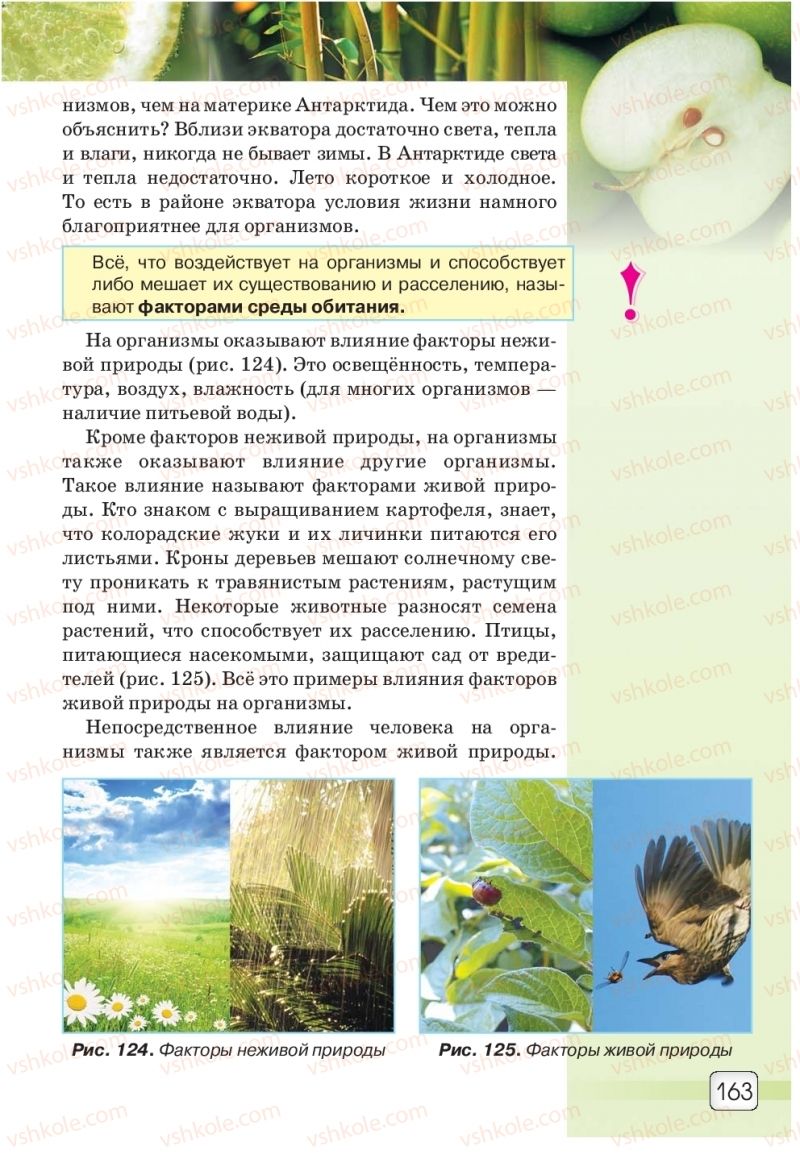 Страница 163 | Підручник Природознавство 5 клас О.Г. Ярошенко, В.М. Бойко 2018 На російській мові